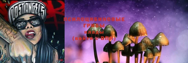 прущий лед Горняк