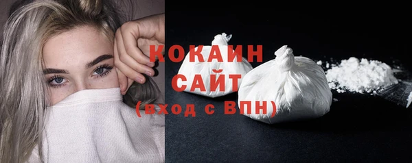 гидра Горно-Алтайск