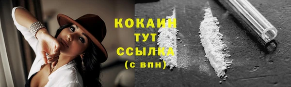 прущий лед Горняк