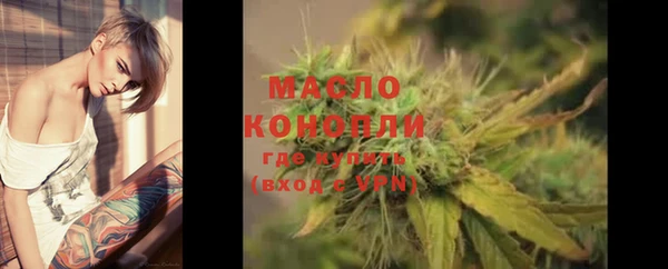гидра Горно-Алтайск