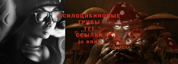 гидра Горно-Алтайск