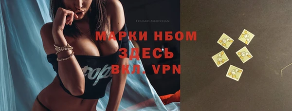 гидра Горно-Алтайск