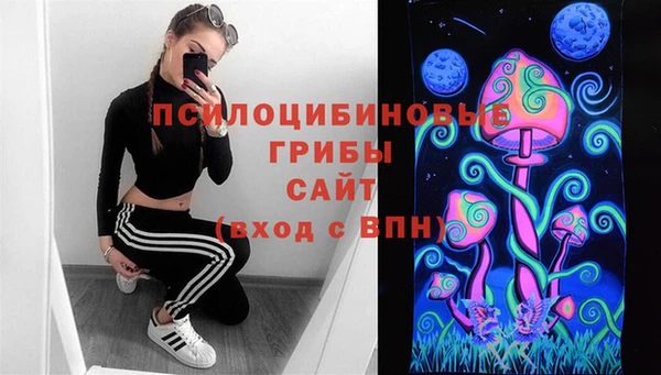гидра Горно-Алтайск