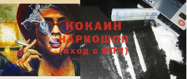 гидра Горно-Алтайск