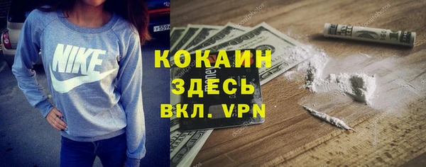 прущий лед Горняк