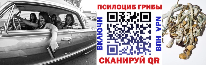Галлюциногенные грибы ЛСД  Купить где  Апшеронск 